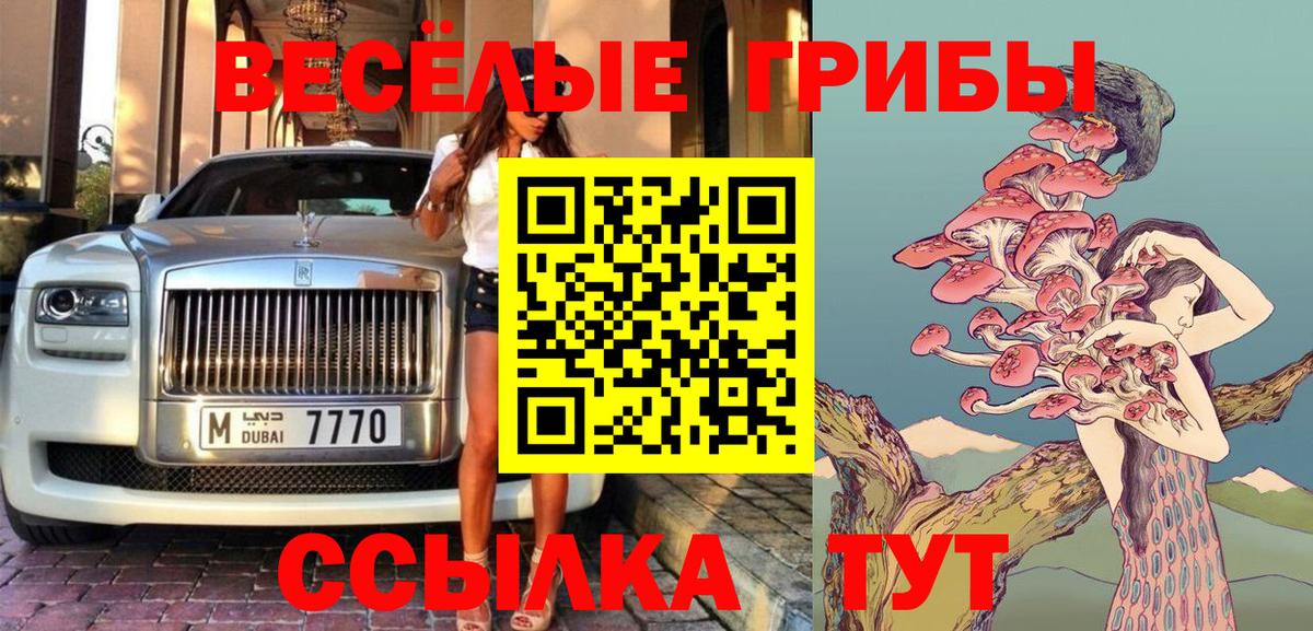 Новокубанск  Псилоцибиновые грибы Psilocybe  Вход с VPN 